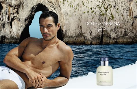 dolce gabbana mare gandy|Dolce & Gabbana Man .